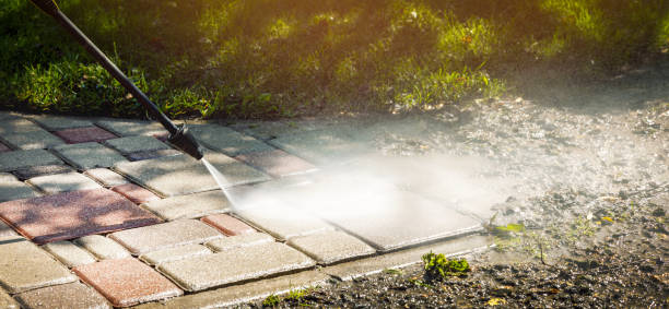 Best Roof Cleaning and Mildew Removal in Jamestown, TN